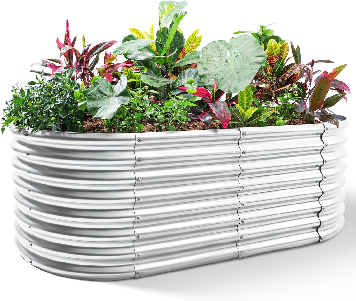 Planter Raised Metal - Canteiro Elevado Galvanizado, Caixas de Plantio