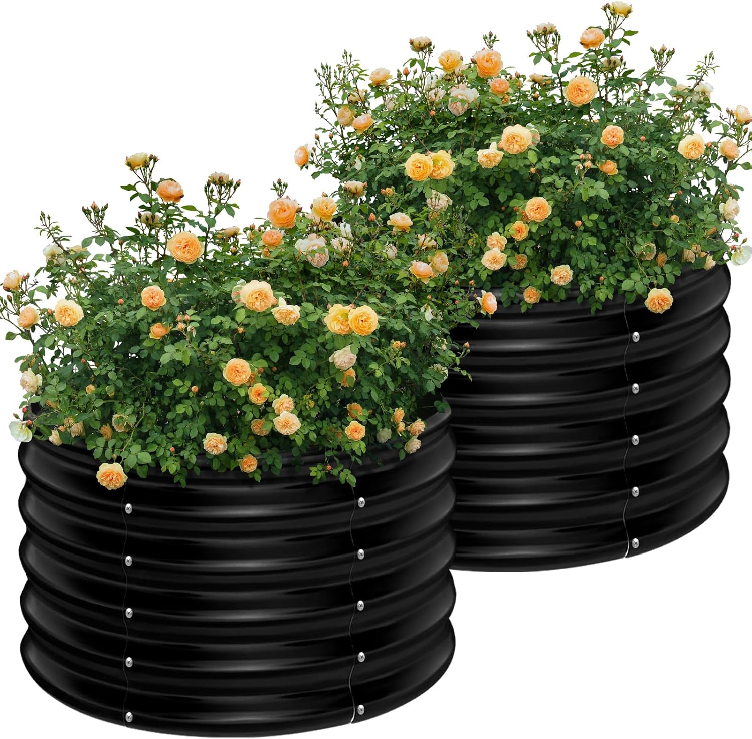 Planter Raised Metal - Conjunto com 2 Caixas de Plantio