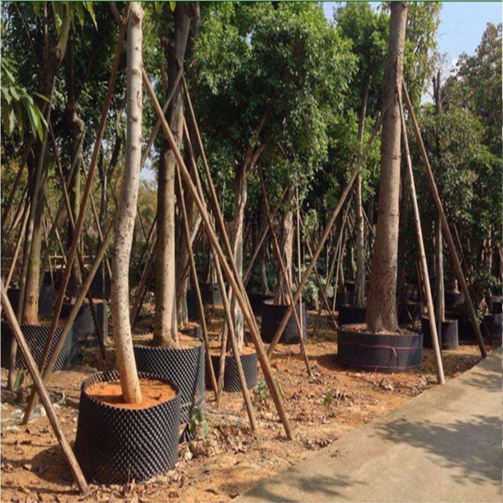Vaso de Viveiro para Crescimen - Outdoor Furniture Metal avaliação e preço